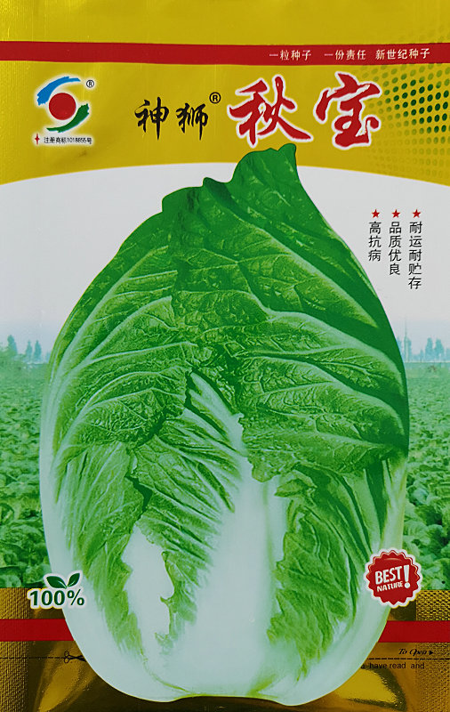 Shenshi Qiubao——Chinese Cabbage Shenshi Qiubao——Chinese Cabbage